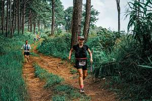 BIB: 
                            <button type="button" onclick="openModal(25659358)" class="btn btn-primary btn-sm float-right btn-popup" data-toggle="modal" data-target=".modal-high-quality">
                        <i class="fas fa-shopping-cart"></i> Add to Cart
                    </button>
                                            <button type="button" onclick="isThisMe(25659358, true)" class="btn btn-success btn-sm float-right btn-popup btn-isme hidden" data-toggle="tooltip" data-placement="bottom" title="นี่คือรูปของคุณใช่ไหม คลิกที่นี่เพื่อเอาเข้าอัลบั้ม">
                        <i class="fas fa-plus"></i> Add to album
                    </button>
                    <button type="button" onclick="isThisMe(25659358, false)" class="btn btn-warning btn-sm float-right btn-popup btn-isnotme hidden">
                        <i class="fas fa-ban"></i> Remove from album
                    </button>